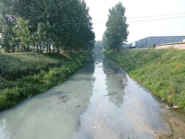 黑臭水体治理